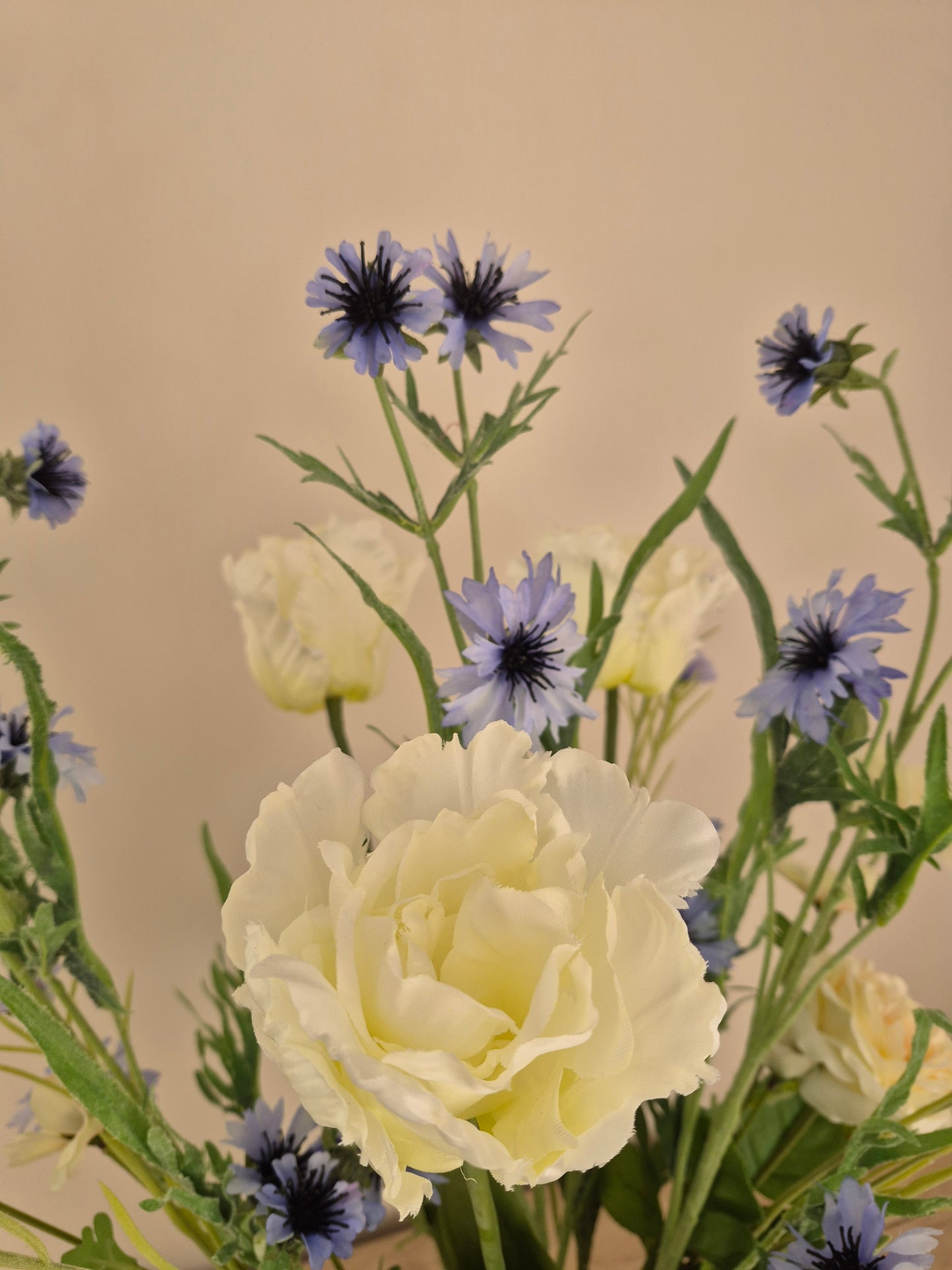 Costa Calm, inclusief vaas