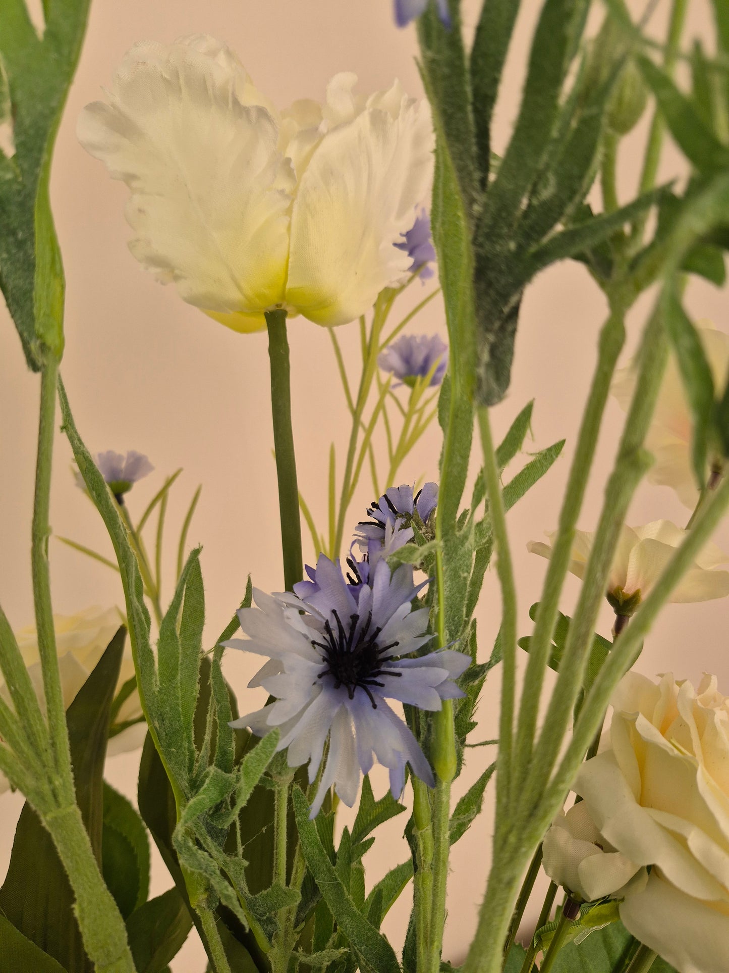 Costa Calm, inclusief vaas