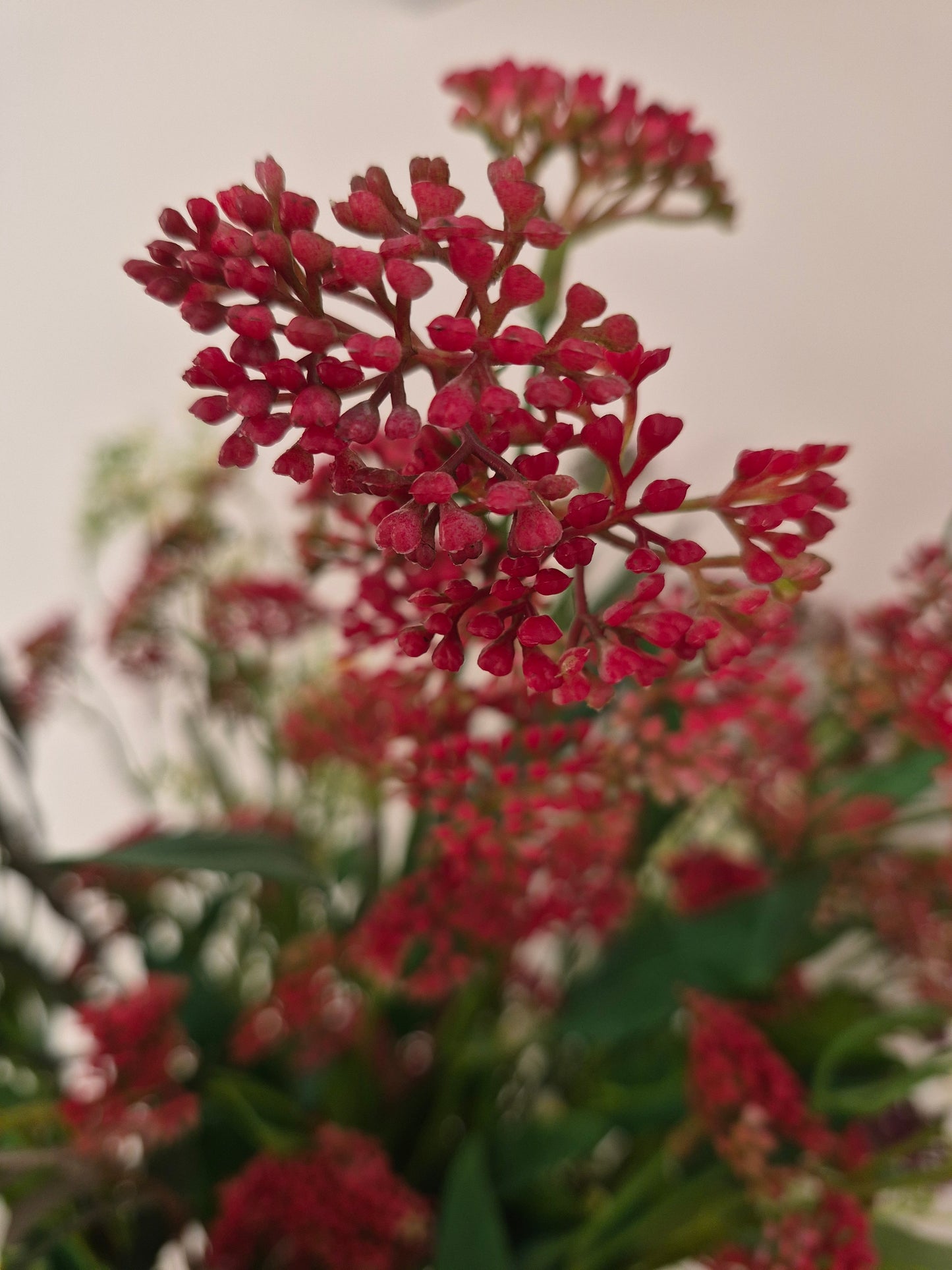 Mediterranean Sunset, inclusief vaas